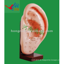 HR-508A Antike Ohr Akupunktur Modell 22CM, Akupunktur Ohr